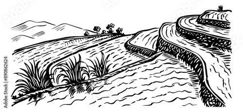 rice field landscape engraving black and white outline
