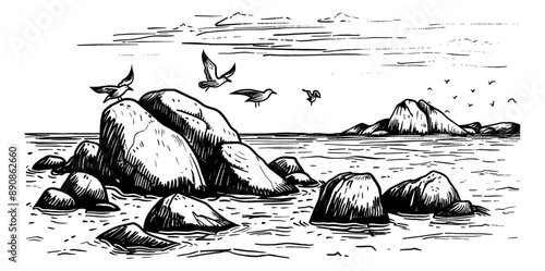 beach stone seagull engraving black and white outline