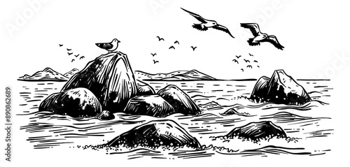 beach stone seagull engraving black and white outline