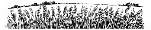 wheat field engraving black and white outline