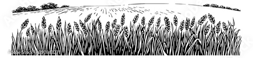 wheat field engraving black and white outline