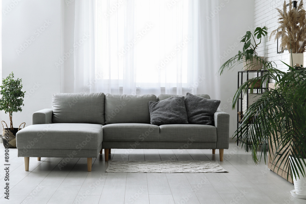 Fototapeta premium Interior of living room with cozy sofa, houseplant and shelving unit
