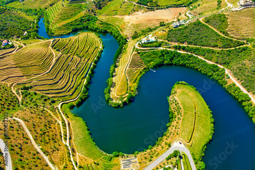 Cuadro en lienzo Aerial view of the terraces of the Douro Vineyards on a summer day