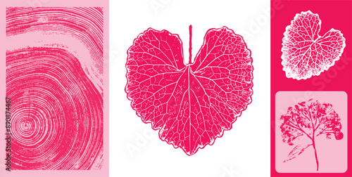 Pink, red, magenta botanical leaf illustration elements. Decorative leaves prints or leaf art.