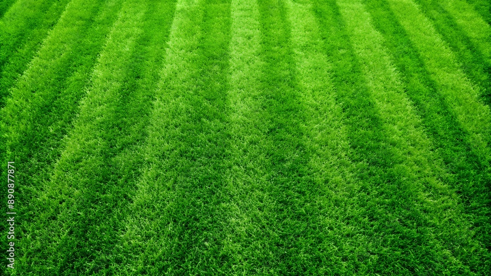 Perfect green grass lawn texture forming parallel lines Perfect green grass lawn texture forming parallel lines