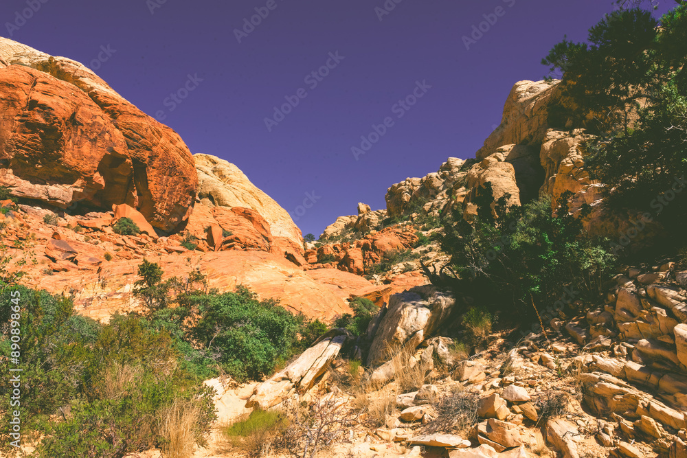 Fototapeta premium red rock canyon