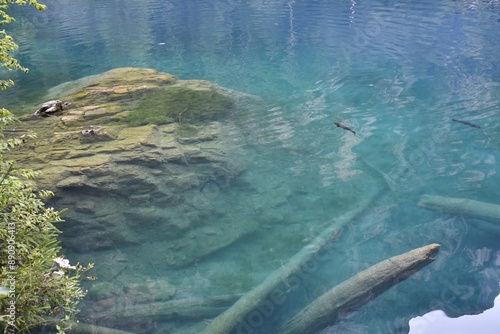 Blausee Switzerland. Beautiful clean water in lake close up