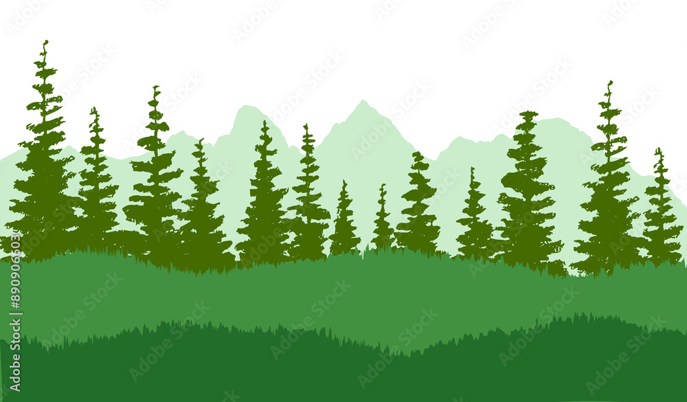 Fototapeta premium Spruce tree silhouette. Pine tree silhouette. Spruce forest