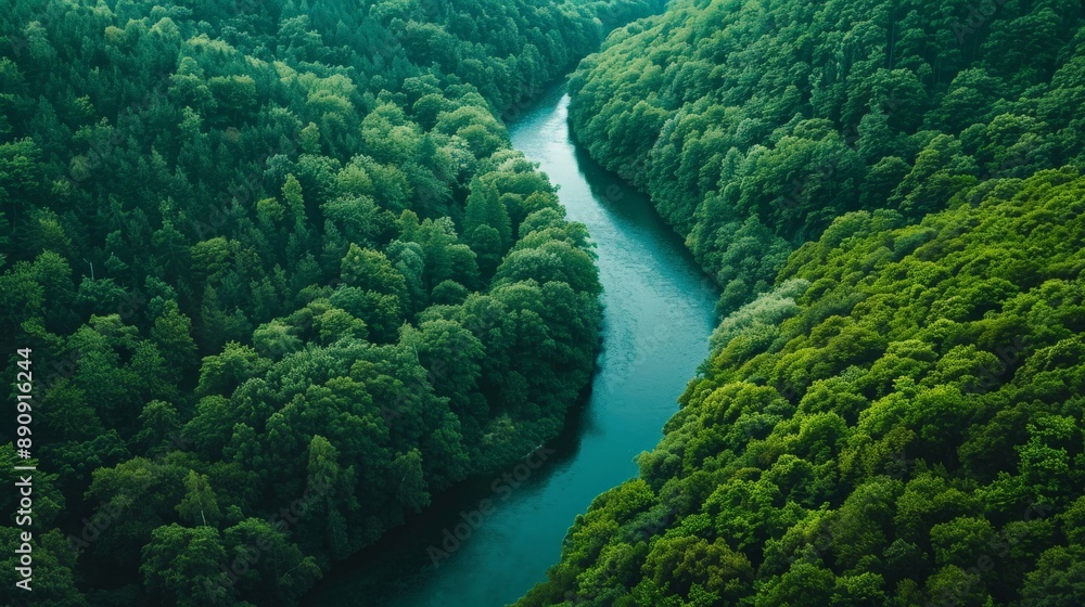 Top-down shot of a winding river cutting through a lush green forest Top-down shot of a winding river cutting through a lush green forest