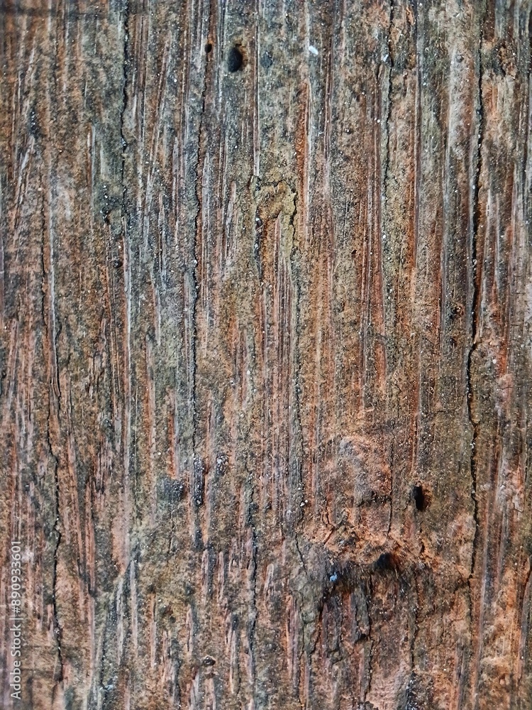 Obraz premium Smooth texture of old wooden surface 