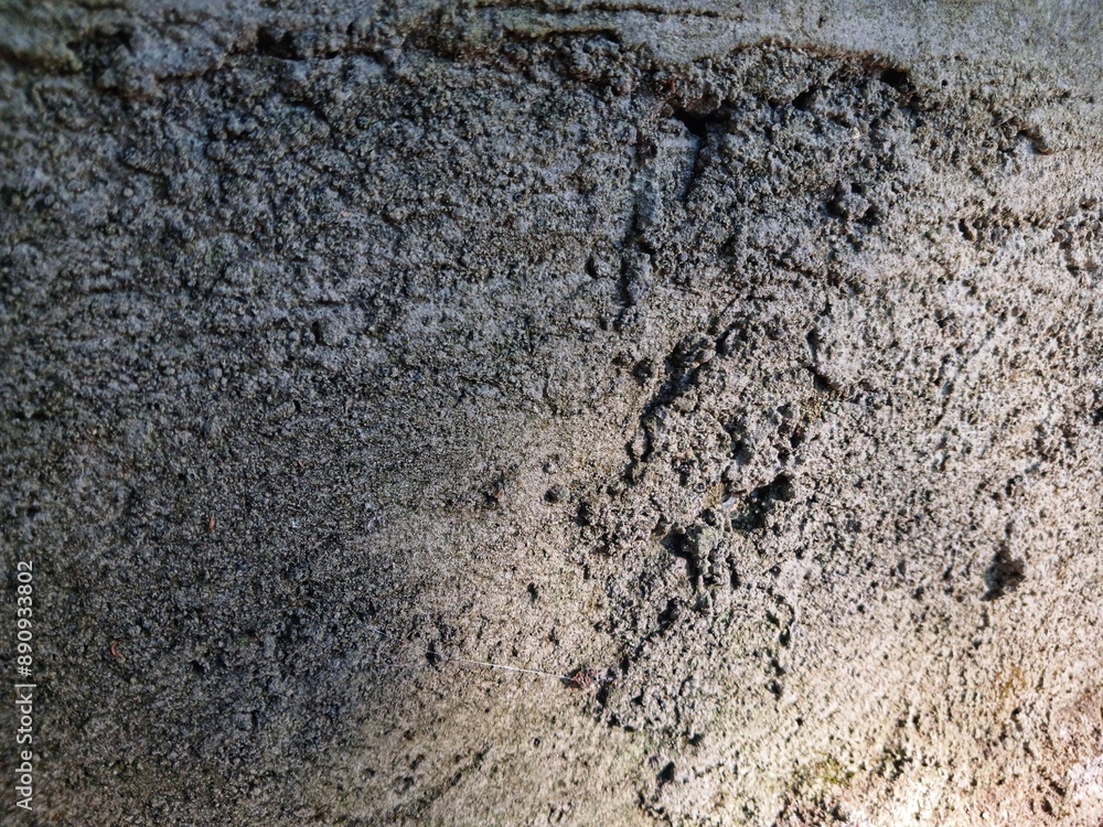 Rough background texture of building wall. Suitable for additional design projects. Rough background texture of building wall. Suitable for additional design projects.