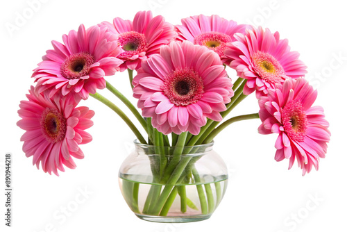 Wallpaper Mural Bouquet of vibrant pink Gerbera daisies in a clear glass vase. Perfect for floral arrangements, gifts, or home decor. Torontodigital.ca