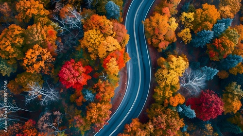 Aerial view of a windy road in autumn landscape
