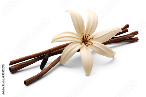 Vanilla flower pods and sticks