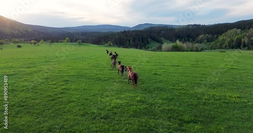 Aerial view of a herd of horses and two playful foals running joyfully across a meadow at sunset, their manes flowing in the wind, surrounded by hills and a fairytale-like landscape