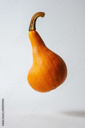 Crookneck Squash pumpkin levitating on a white background photo