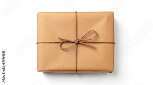 Plain Brown Paper Package with Blue Tag