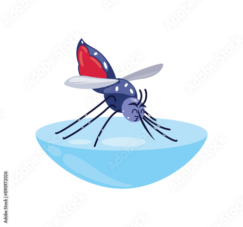 dengue aedes aegypti mosquito on water