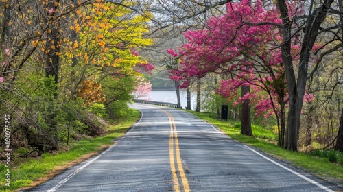 Scenic drive along a river road with colorful trees in full bloom