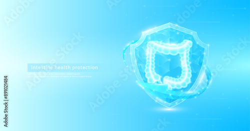 Intestine human organ anatomy style polygonal in shield glowing surrounded by blue arrows. Medical science protection symbol. Health care concept. Banner vector EPS10.