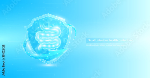 Small intestine human organ anatomy style polygonal in shield glowing surrounded by blue arrows. Medical science protection symbol. Health care concept. Banner vector EPS10.