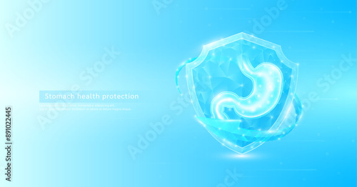 Stomach human organ anatomy style polygonal in shield glowing surrounded by blue arrows. Medical science protection symbol. Health care concept. Banner vector EPS10.