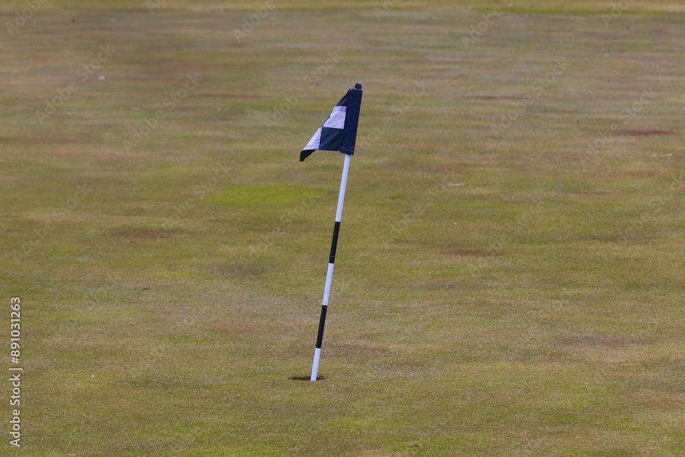 Obraz premium Practice putting green, golf hole and flag 