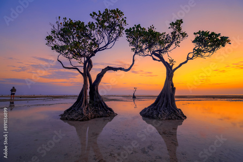 Sunset scenery at Walakiri Beach, Sumba Island, Nusa Tenggara Timur, Indonesia