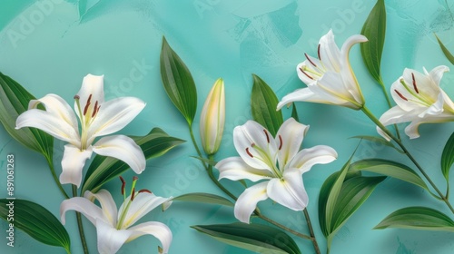 White Lilies on a Turquoise Background