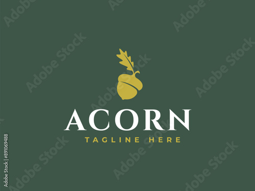 acorn logo vector illustration. acorn with leaf logo template