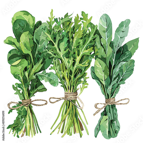 Fresh Organic Green Leafy Vegetables Tied with String