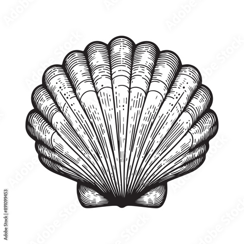 Line art of scallop vector illustration
