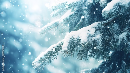 Beautiful Fluffy Fir Branches Covered in Snow, Capturing the Natural Beauty and Soft Texture of the Snow-Laden Evergreen in a Serene Winter Setting photo