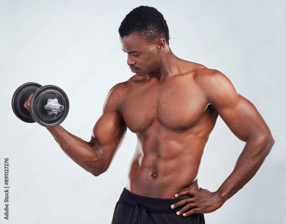 Weights, muscle and black man in studio for workout, bodybuilder training and intense exercise. Fitness, sports and person weightlifting for strength, biceps and strong arms on white background Weights, muscle and black man in studio for workout, bodybuilder training and intense exercise. Fitness, sports and person weightlifting for strength, biceps and strong arms on white background