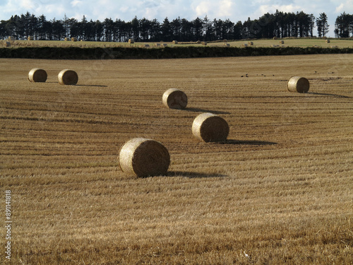 Obraz na płótnie Bales of hay in a field - Stonehaven - Aberdeenshire - Scotland - UK w salonie