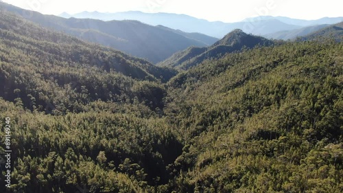 drone shoot of mountains in a sunny day in the forest