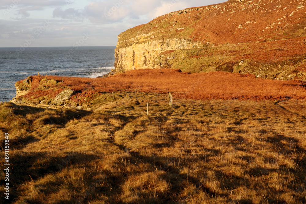 Fototapeta premium Dunnet head coastal walk - peninsula in Caithness - most northerly point of the mainland of Great Britain - Caithness - Scotland - UK