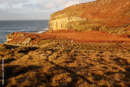 Dunnet head coastal walk - peninsula in Caithness - most northerly point of the mainland of Great Britain - Caithness - Scotland - UK photo