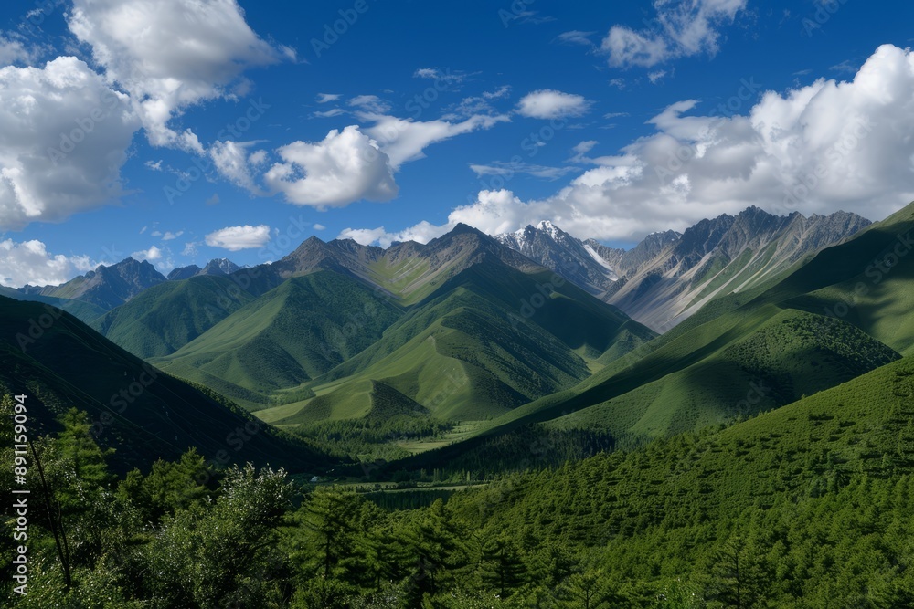 Obraz premium Tibet, West Sichuan, Gongga Mountain, Rizhao Jinshan 