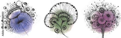 胞子のゼンタングル