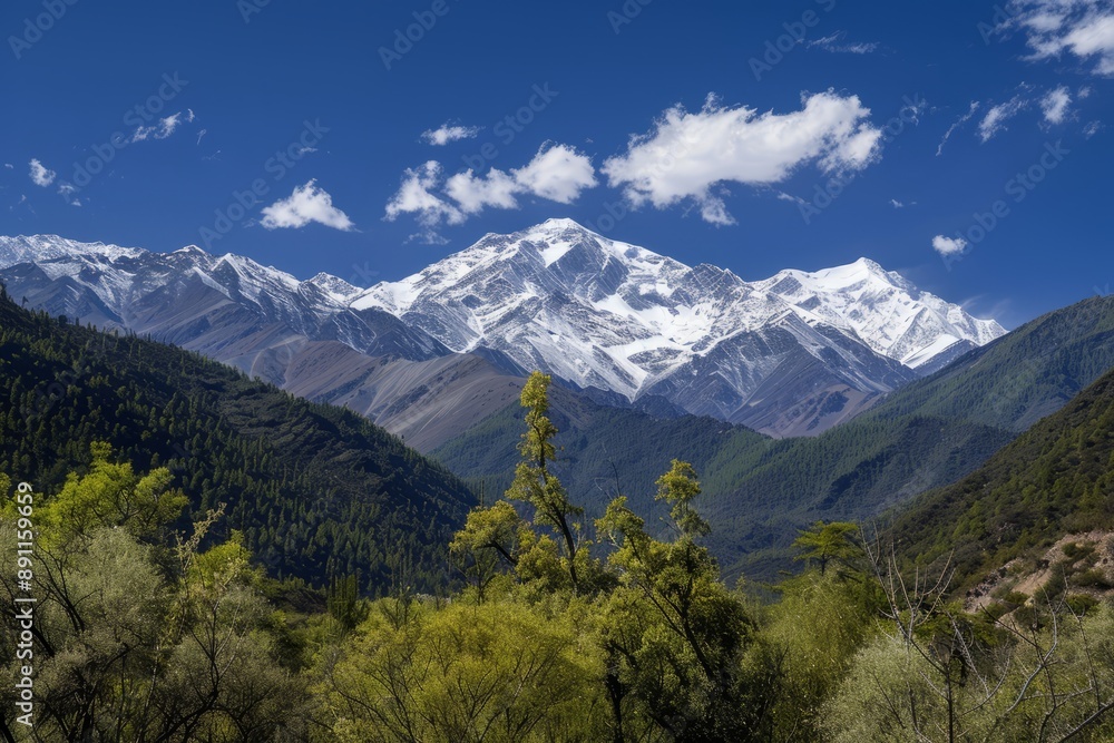Obraz premium Tibet, West Sichuan, Gongga Mountain, Rizhao Jinshan 