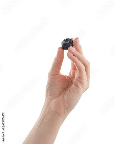 Female hand hold big blueberry isolated on white