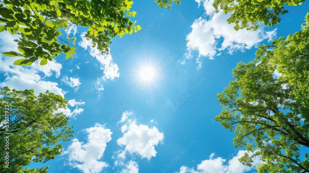 Vivid sky with sun and trees from ground perspective view. Vivid sky with sun and trees from ground perspective view.