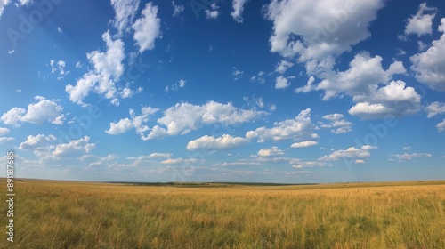 Wide Open Grasslands Under a Blue Sky with Fluffy Clouds © muza