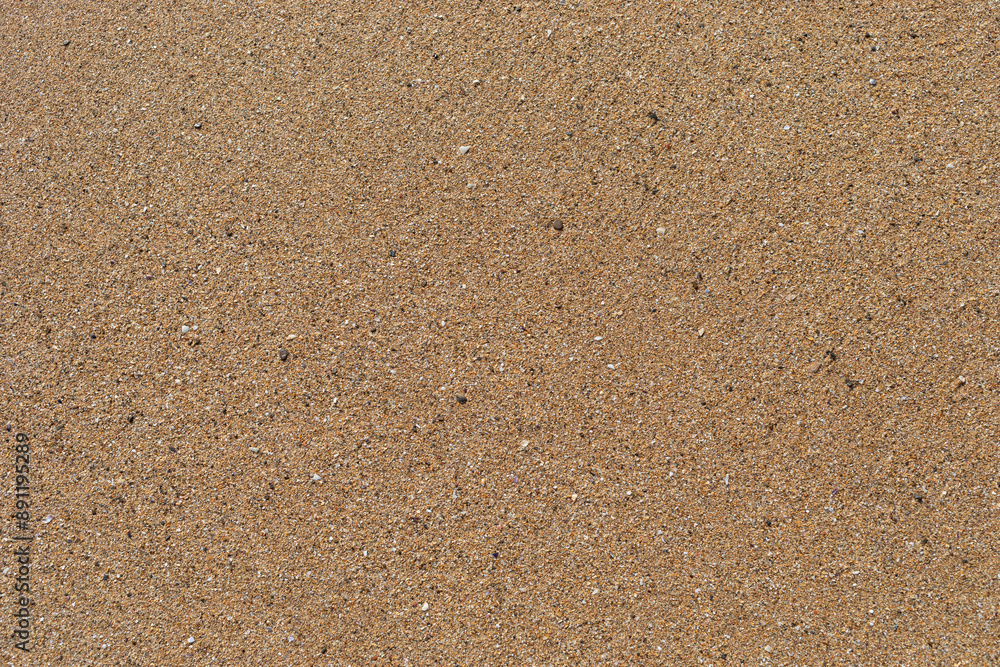Beach sand texture with small pieces of broken shells. Beach sand texture with small pieces of broken shells.