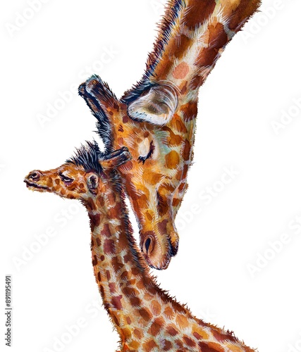 Photography Mother giraffe and baby giraffe