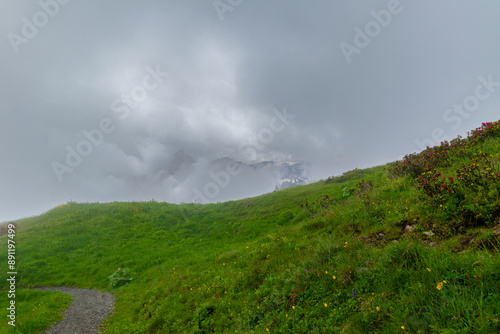 Path into the Clouds: A Misty Mountain Trail (Vorarlberg, Austria)