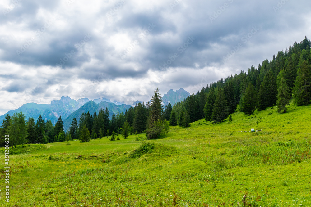 Peaceful Hiking Path Through Lush Green Meadows in Vorarlberg Peaceful Hiking Path Through Lush Green Meadows in Vorarlberg