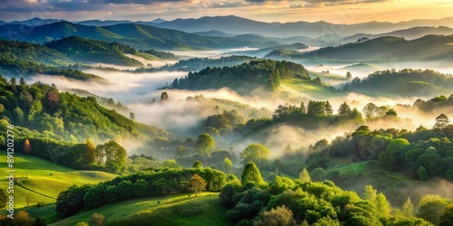 Wallpaper Mural Serene misty landscape of rolling hills and verdant forest, embracing nature's splendor, with lush greenery and foggy valleys, evoking feelings of stillness and rebirth. Torontodigital.ca