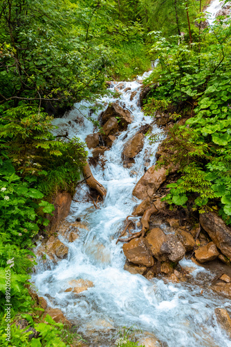 Serene Alpine Landscape with Lush Vegetation and Zemmbach Waterfall
